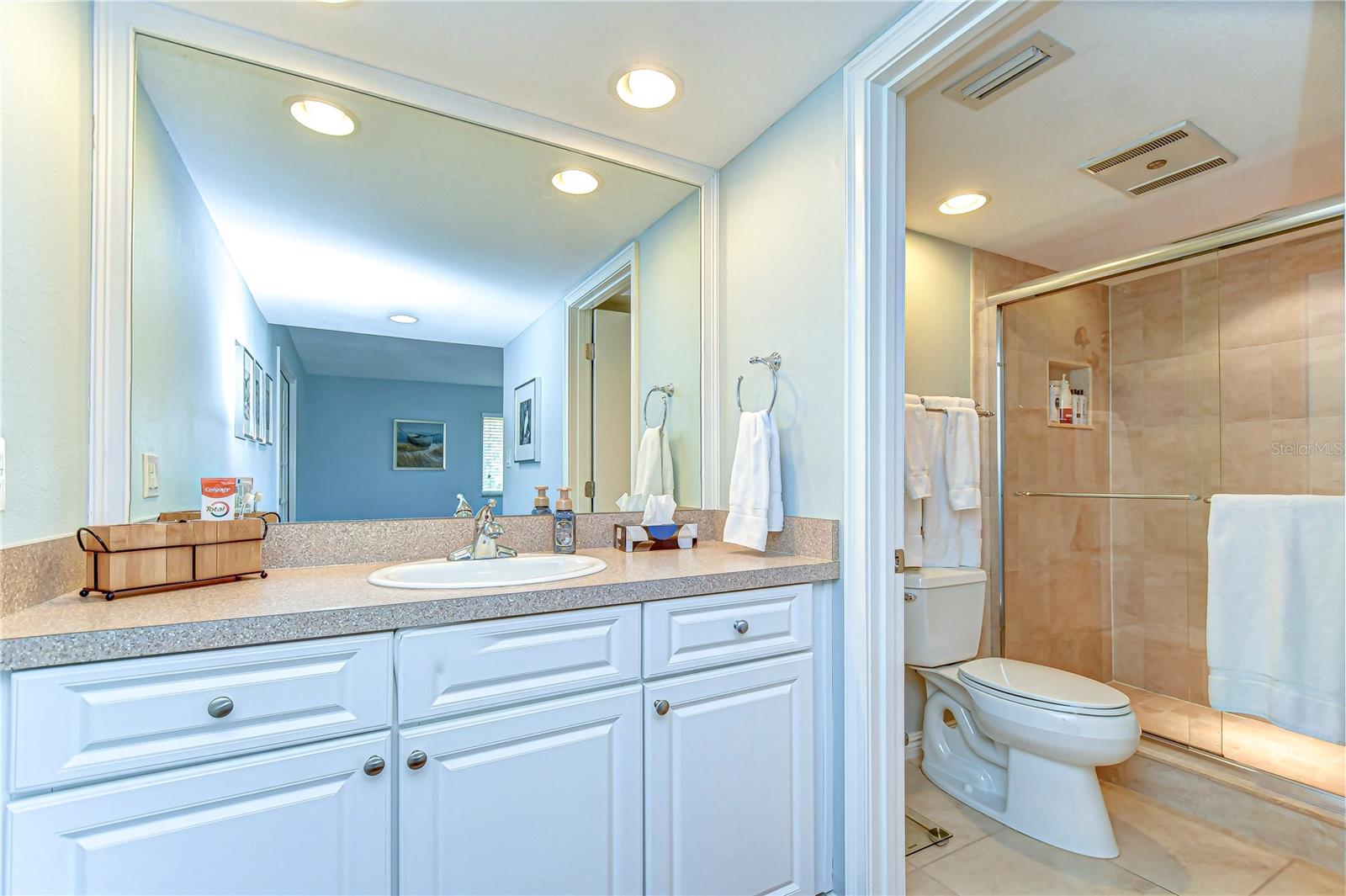 5019 MILL POND RD #3128, WESLEY CHAPEL, FL, 33543