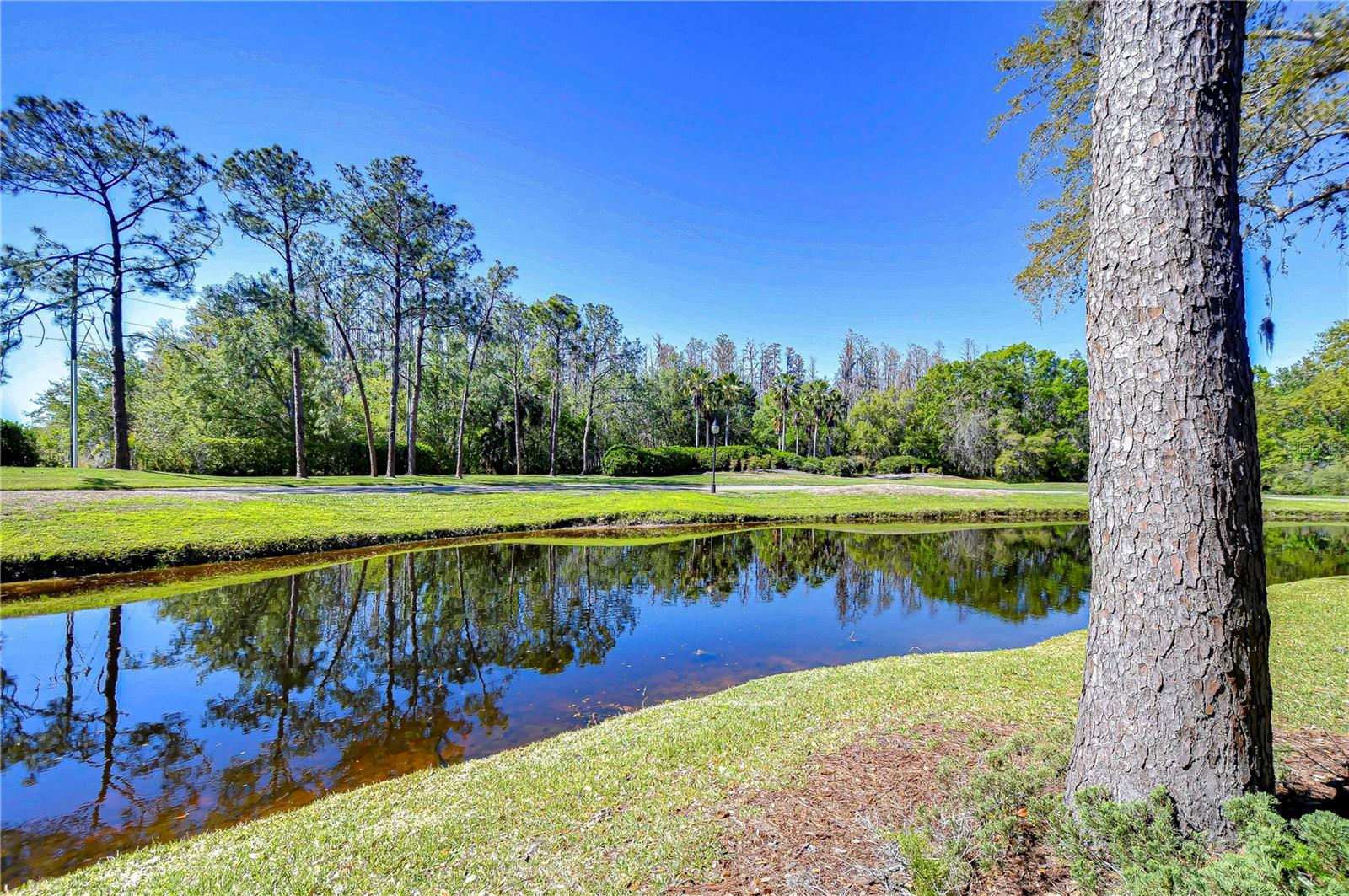 5019 MILL POND RD #3128, WESLEY CHAPEL, FL, 33543