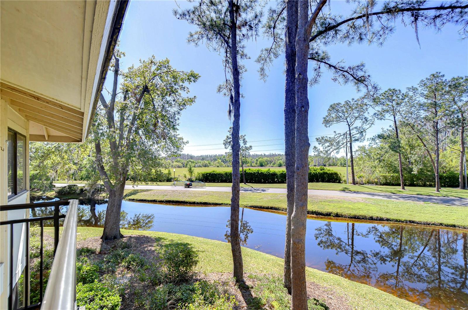 5019 MILL POND RD #3128, WESLEY CHAPEL, FL, 33543