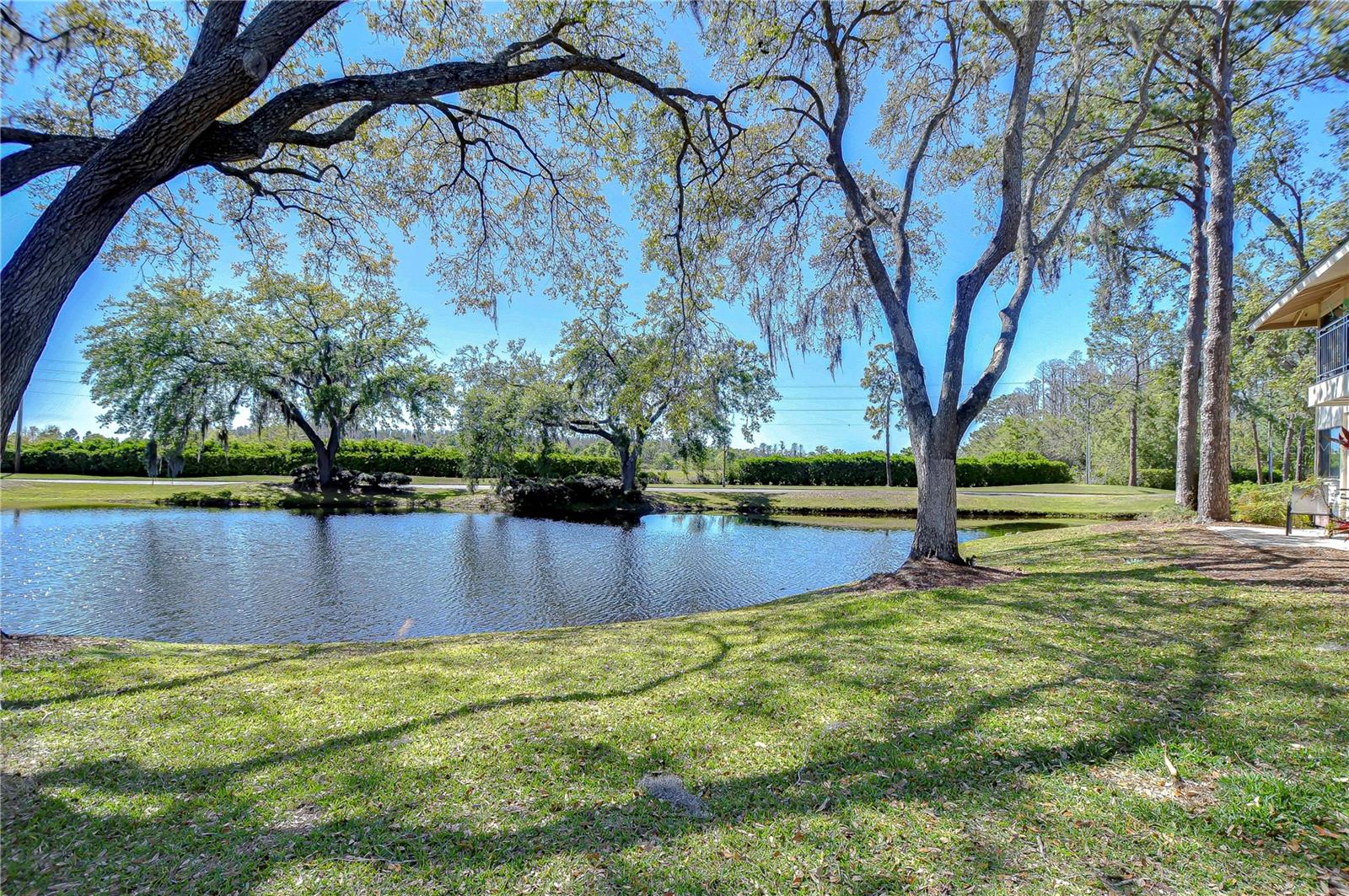 5019 MILL POND RD #3128, WESLEY CHAPEL, FL, 33543
