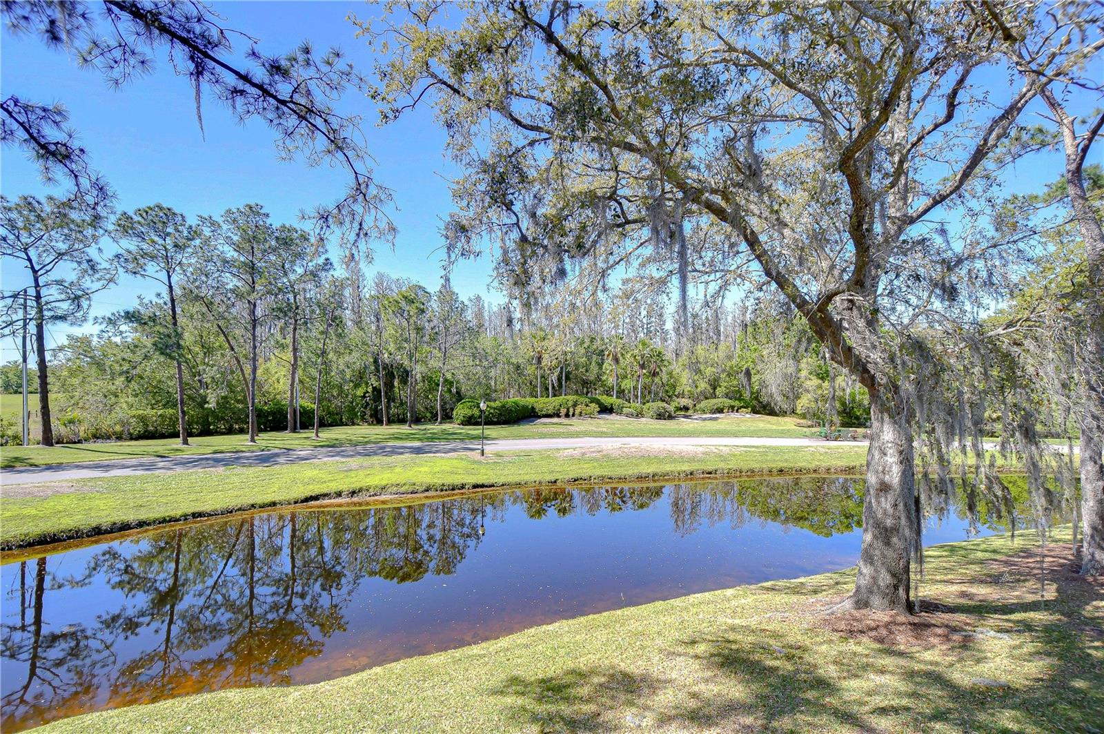 5019 MILL POND RD #3128, WESLEY CHAPEL, FL, 33543