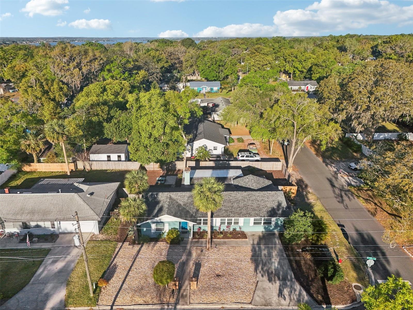 219 N ROSSITER ST, MOUNT DORA, FL, 32757