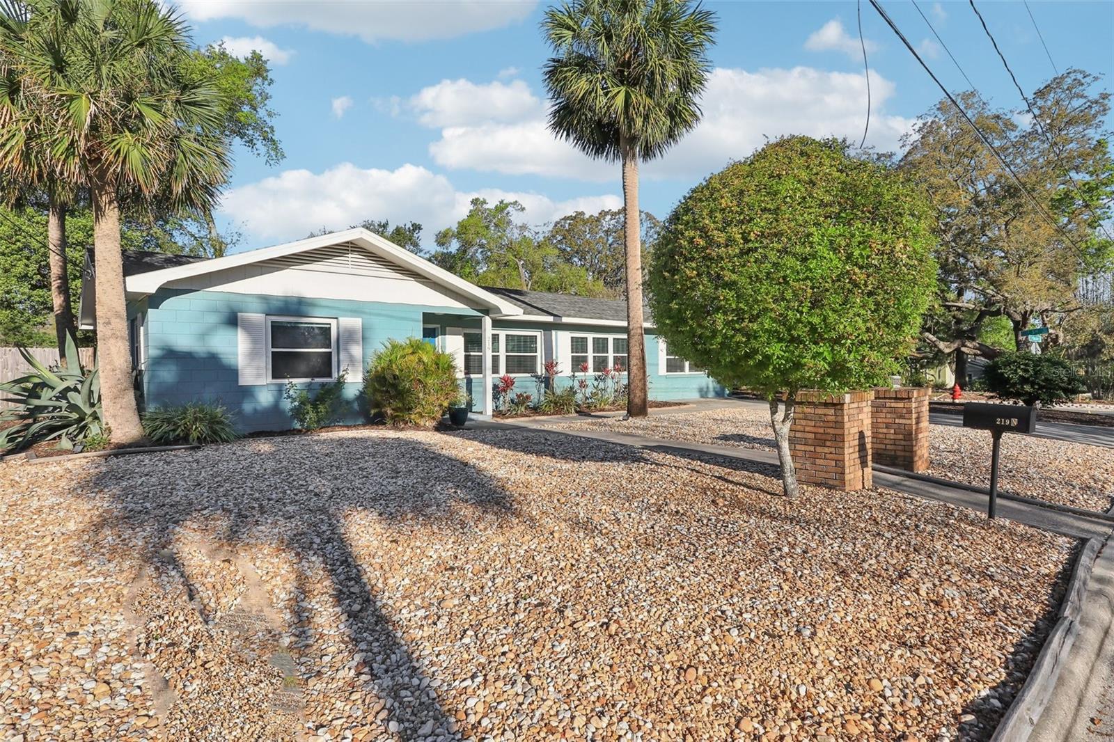 219 N ROSSITER ST, MOUNT DORA, FL, 32757