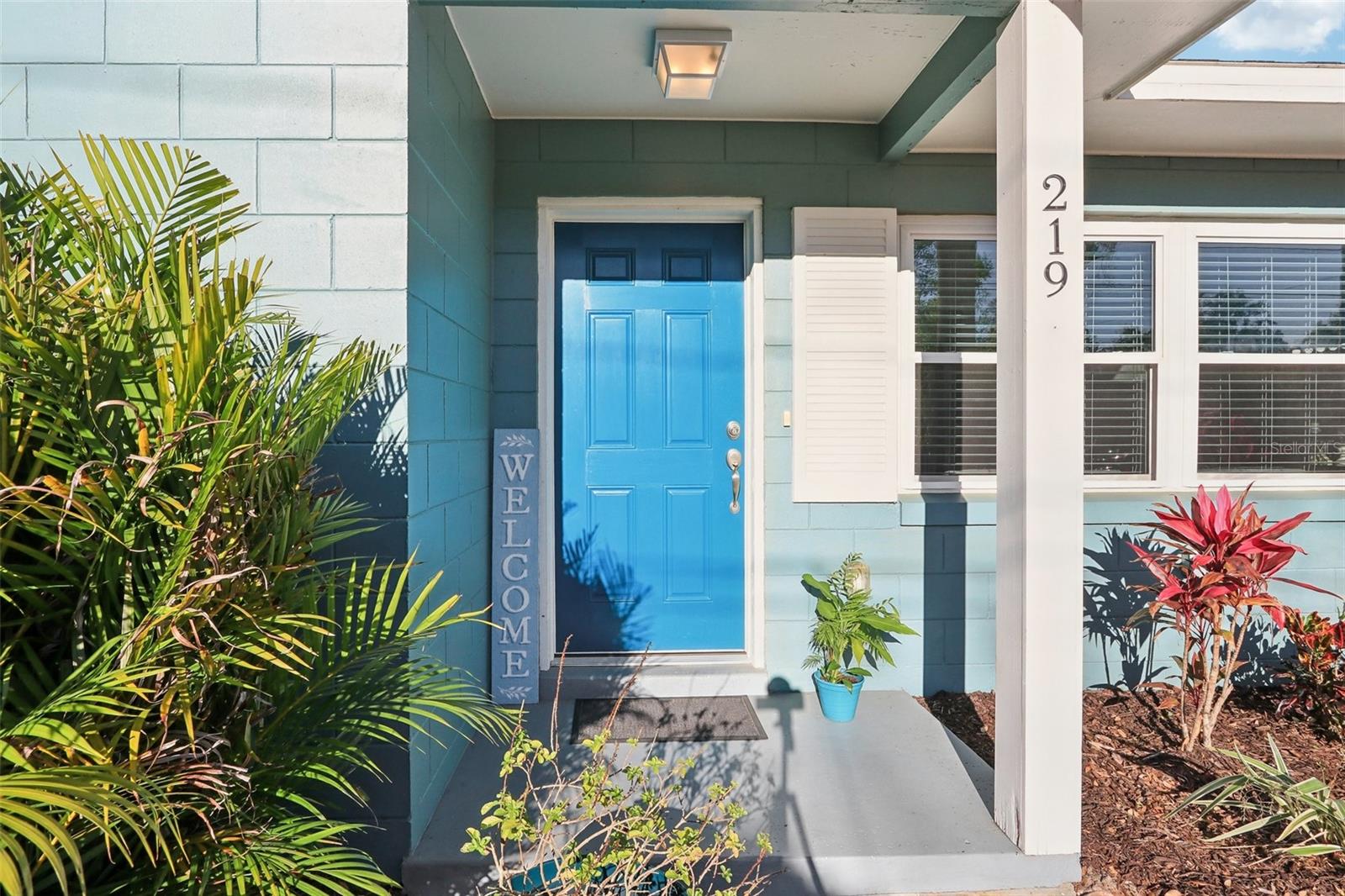 219 N ROSSITER ST, MOUNT DORA, FL, 32757