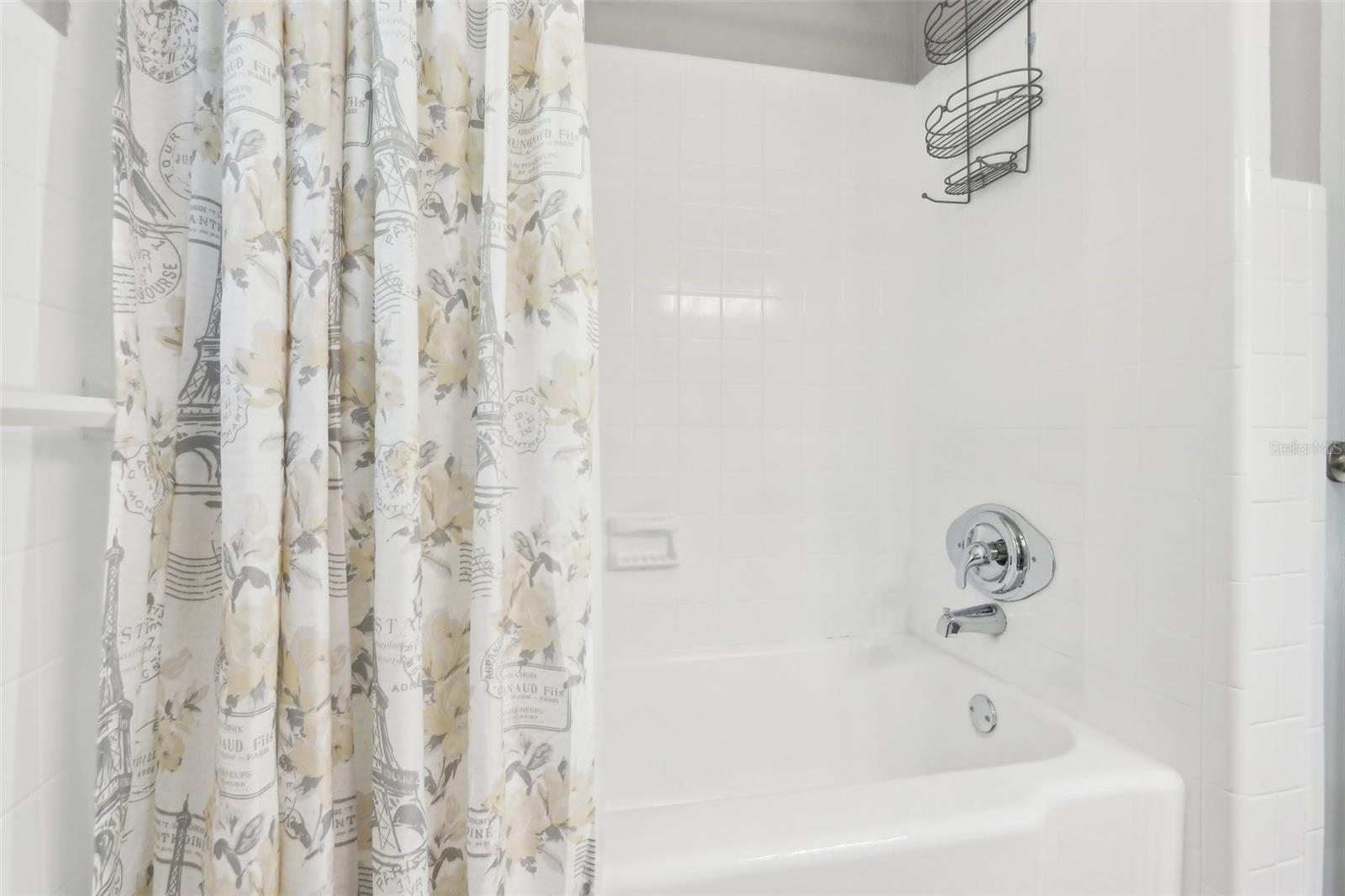 219 N ROSSITER ST, MOUNT DORA, FL, 32757