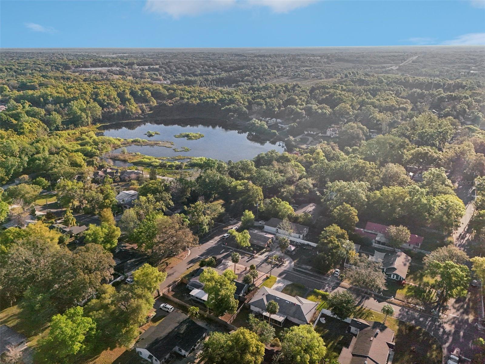 219 N ROSSITER ST, MOUNT DORA, FL, 32757