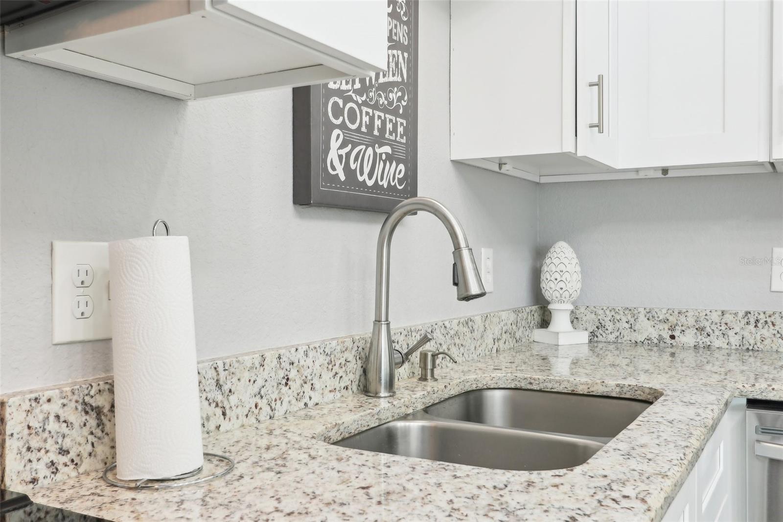 219 N ROSSITER ST, MOUNT DORA, FL, 32757