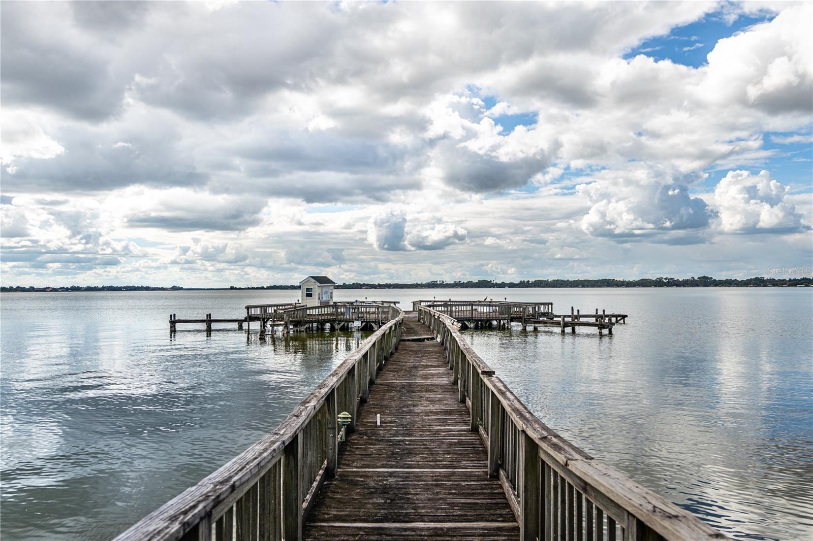 219 N ROSSITER ST, MOUNT DORA, FL, 32757