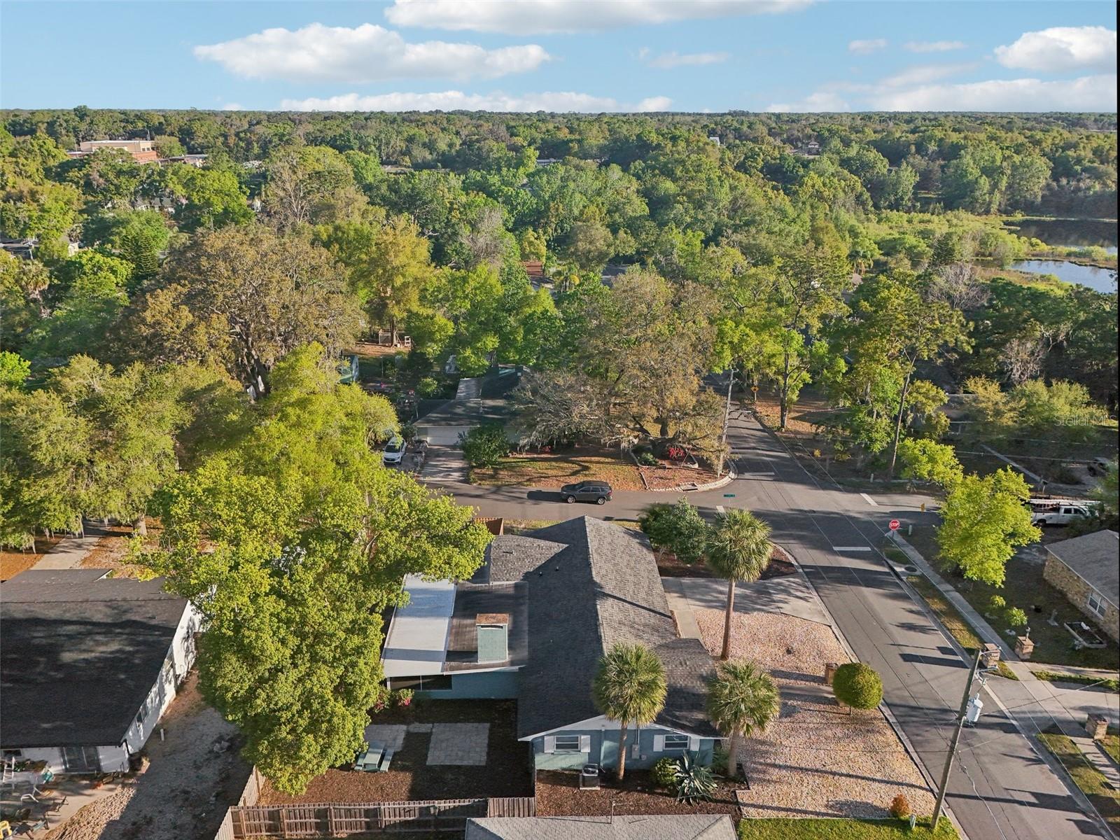 219 N ROSSITER ST, MOUNT DORA, FL, 32757