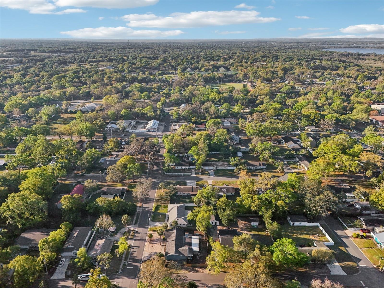 219 N ROSSITER ST, MOUNT DORA, FL, 32757