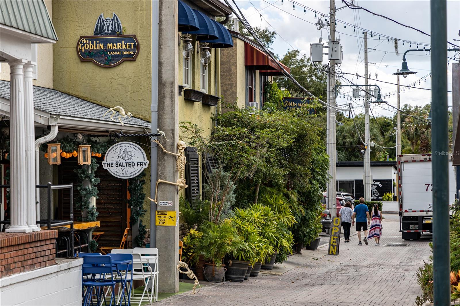 219 N ROSSITER ST, MOUNT DORA, FL, 32757