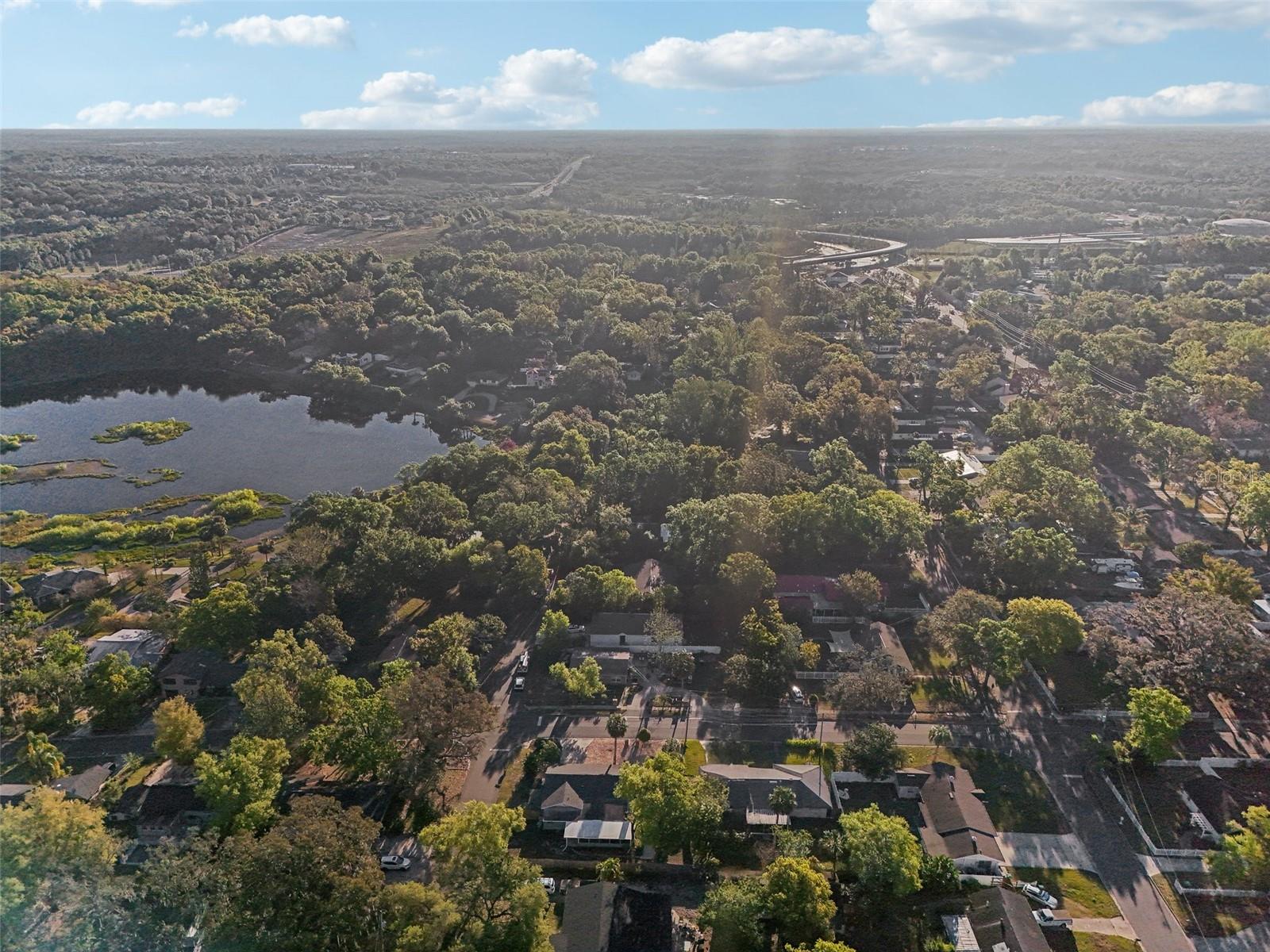 219 N ROSSITER ST, MOUNT DORA, FL, 32757