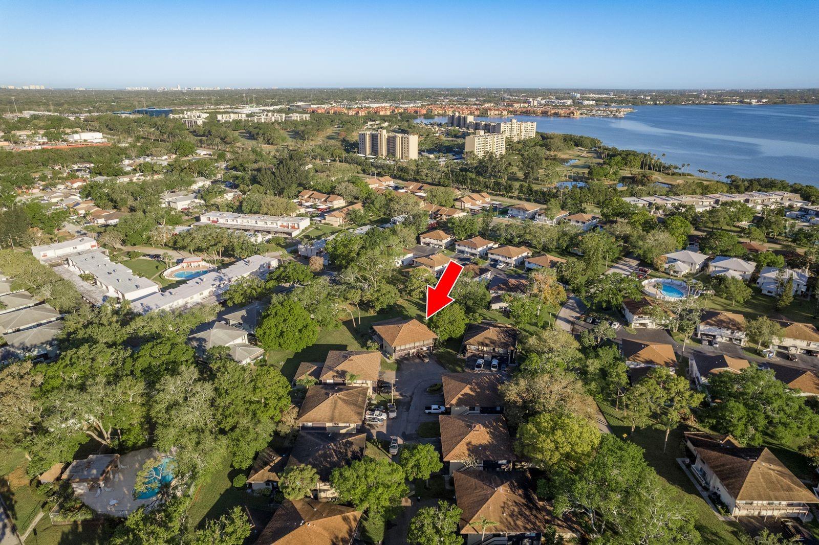 2934 LICHEN LN #D, CLEARWATER, FL, 33760