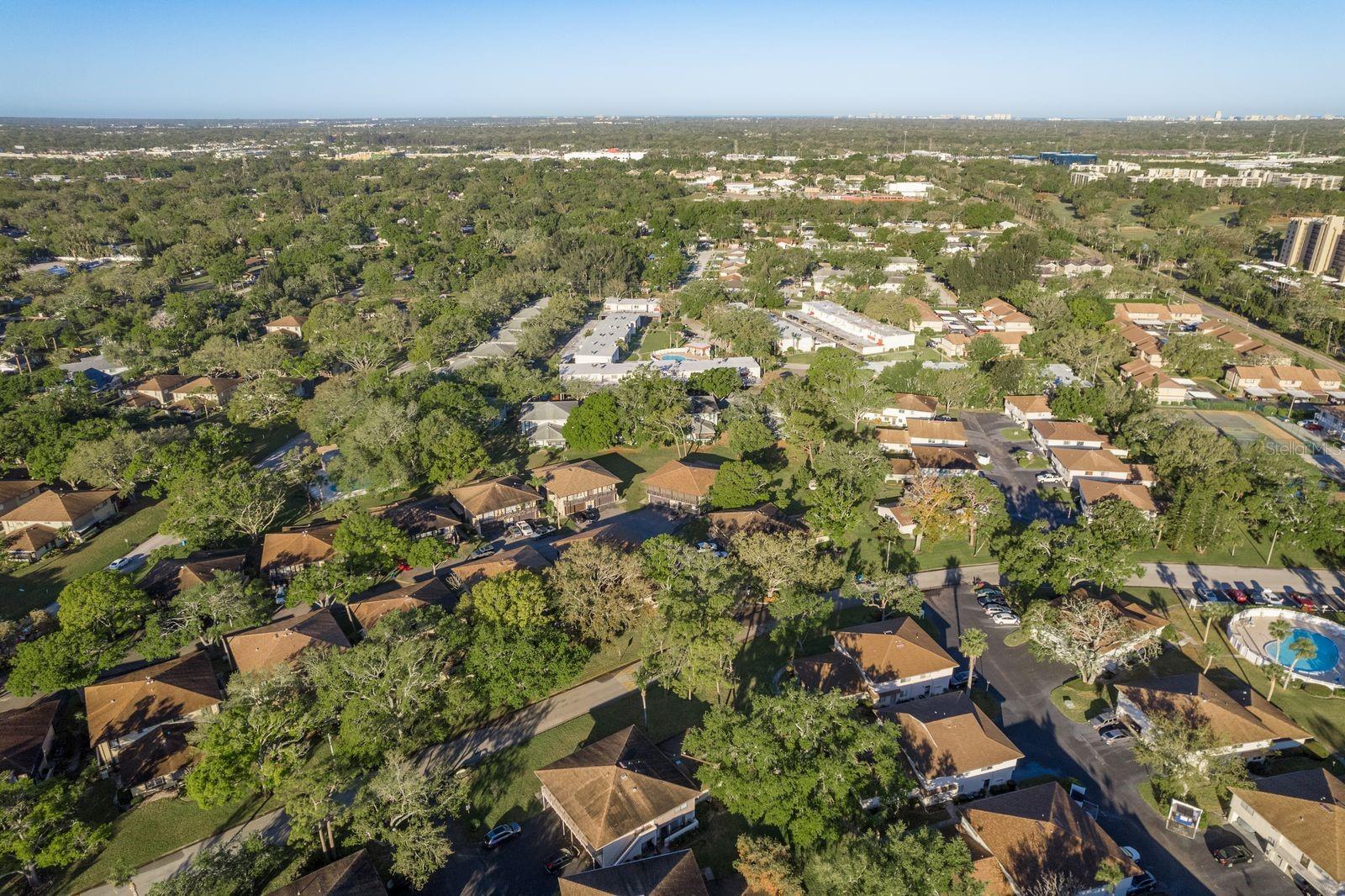 2934 LICHEN LN #D, CLEARWATER, FL, 33760