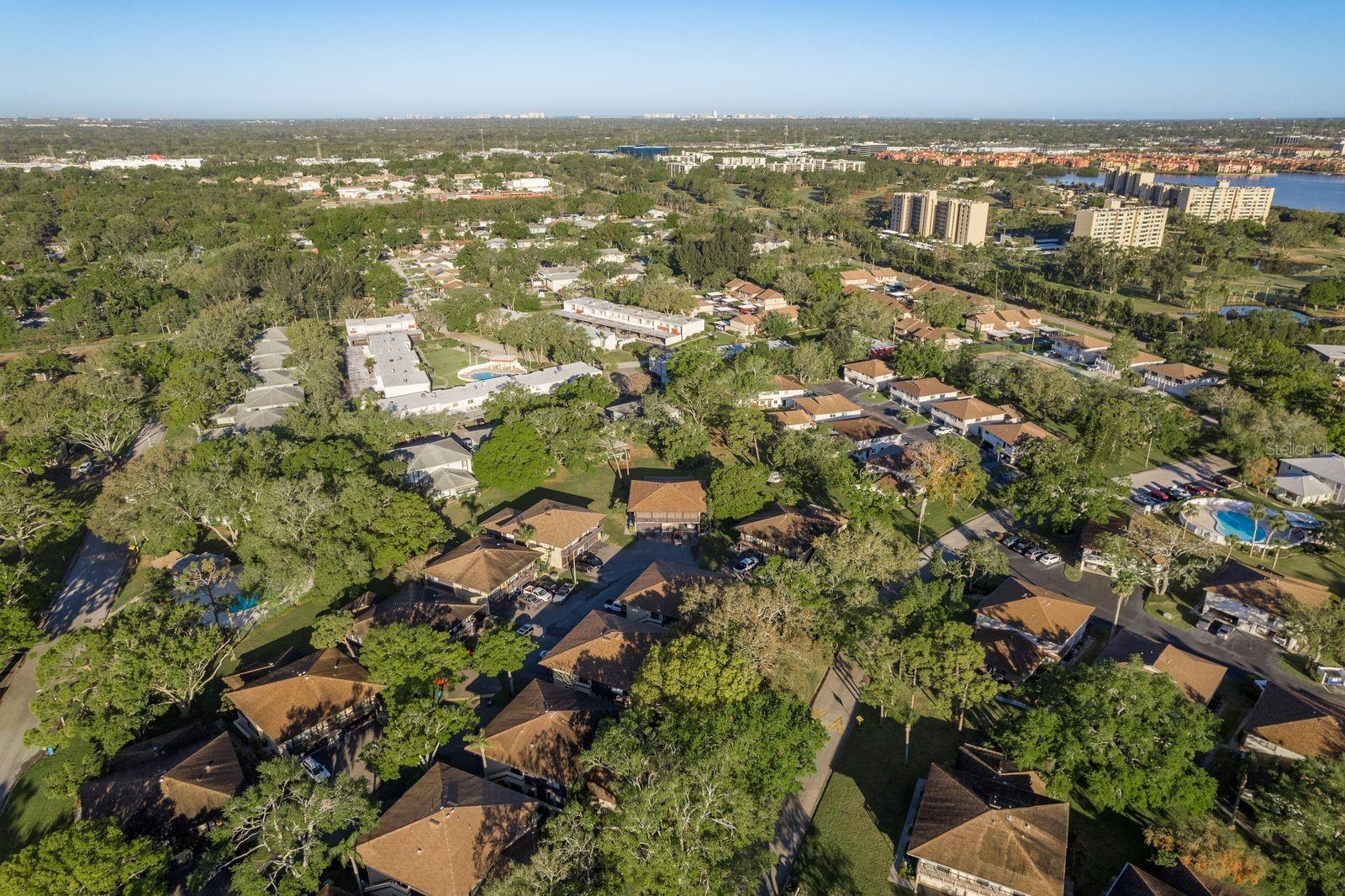 2934 LICHEN LN #D, CLEARWATER, FL, 33760
