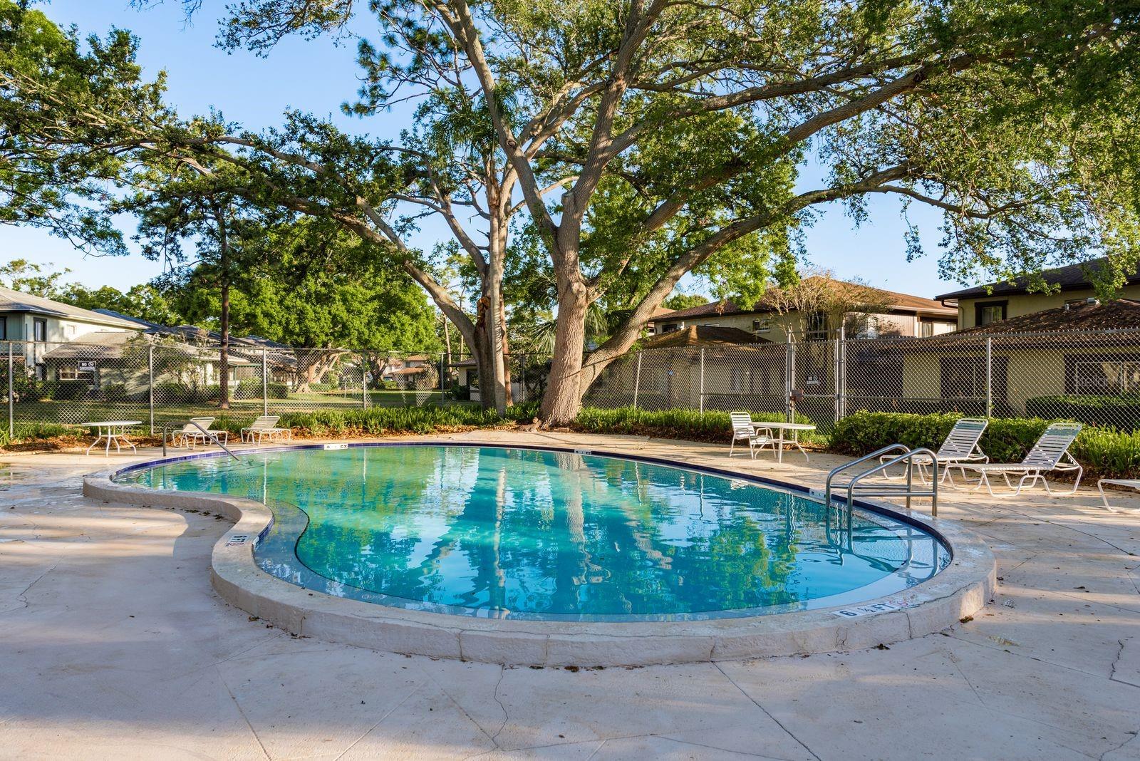 2934 LICHEN LN #D, CLEARWATER, FL, 33760