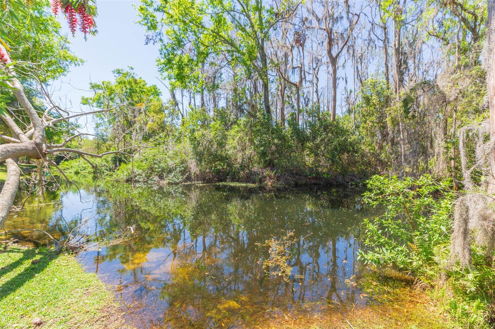 15814 HAMPTON VILLAGE DR, TAMPA, FL, 33618