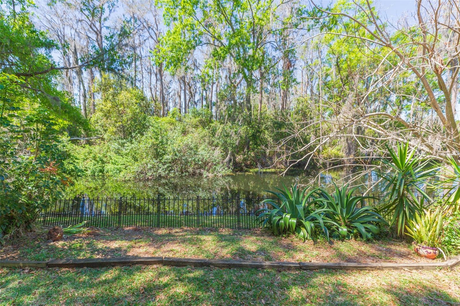 15814 HAMPTON VILLAGE DR, TAMPA, FL, 33618