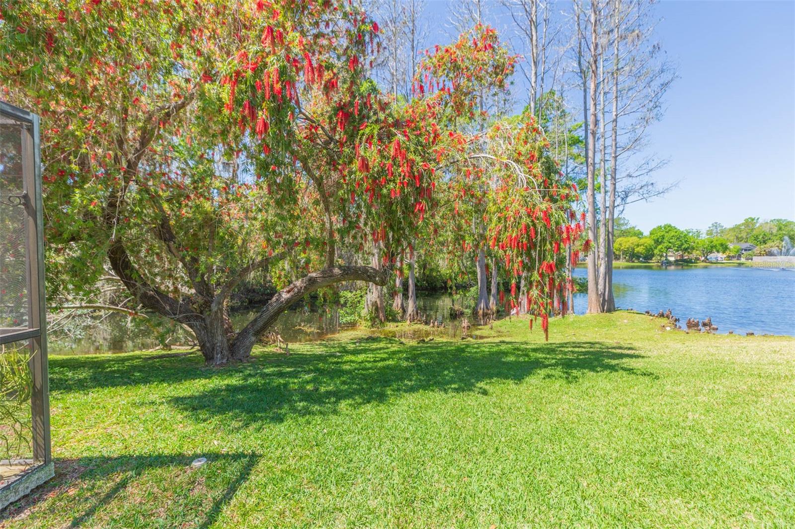 15814 HAMPTON VILLAGE DR, TAMPA, FL, 33618