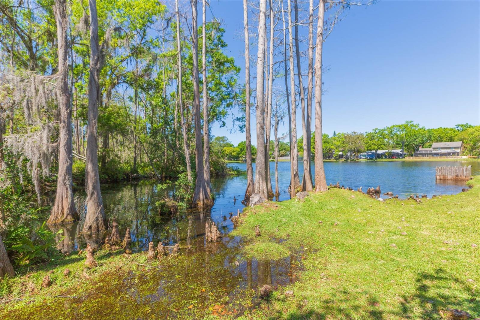 15814 HAMPTON VILLAGE DR, TAMPA, FL, 33618
