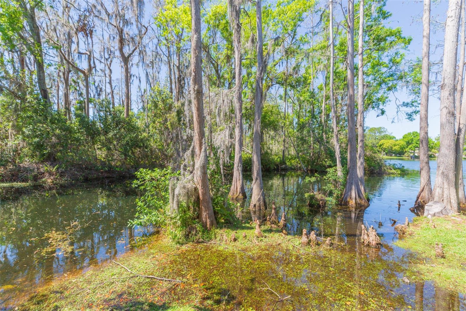 15814 HAMPTON VILLAGE DR, TAMPA, FL, 33618