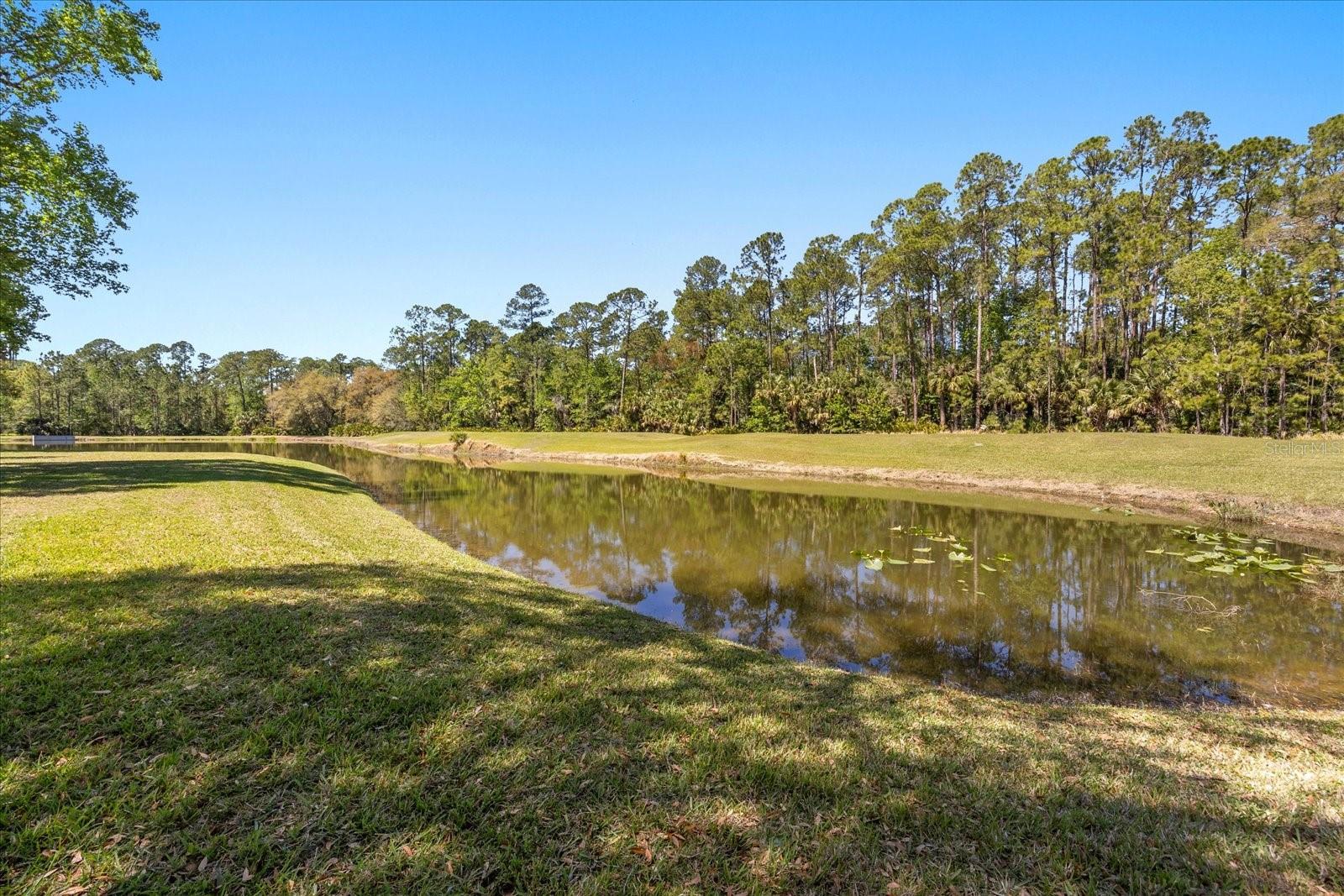 1185 CYPRESS LOFT PL, LAKE MARY, FL, 32746