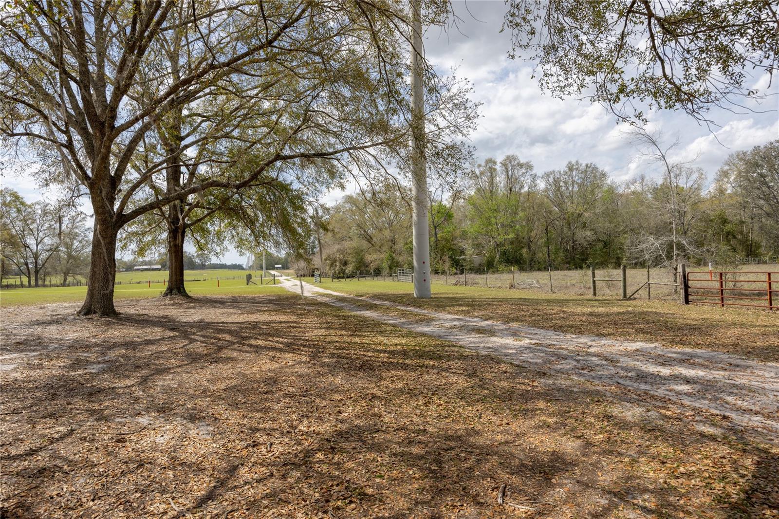 3670 NW 20TH AVE, BELL, FL, 32619