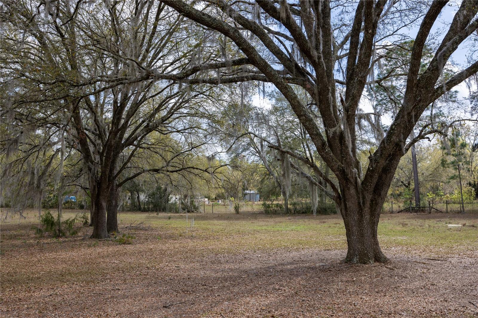 3670 NW 20TH AVE, BELL, FL, 32619