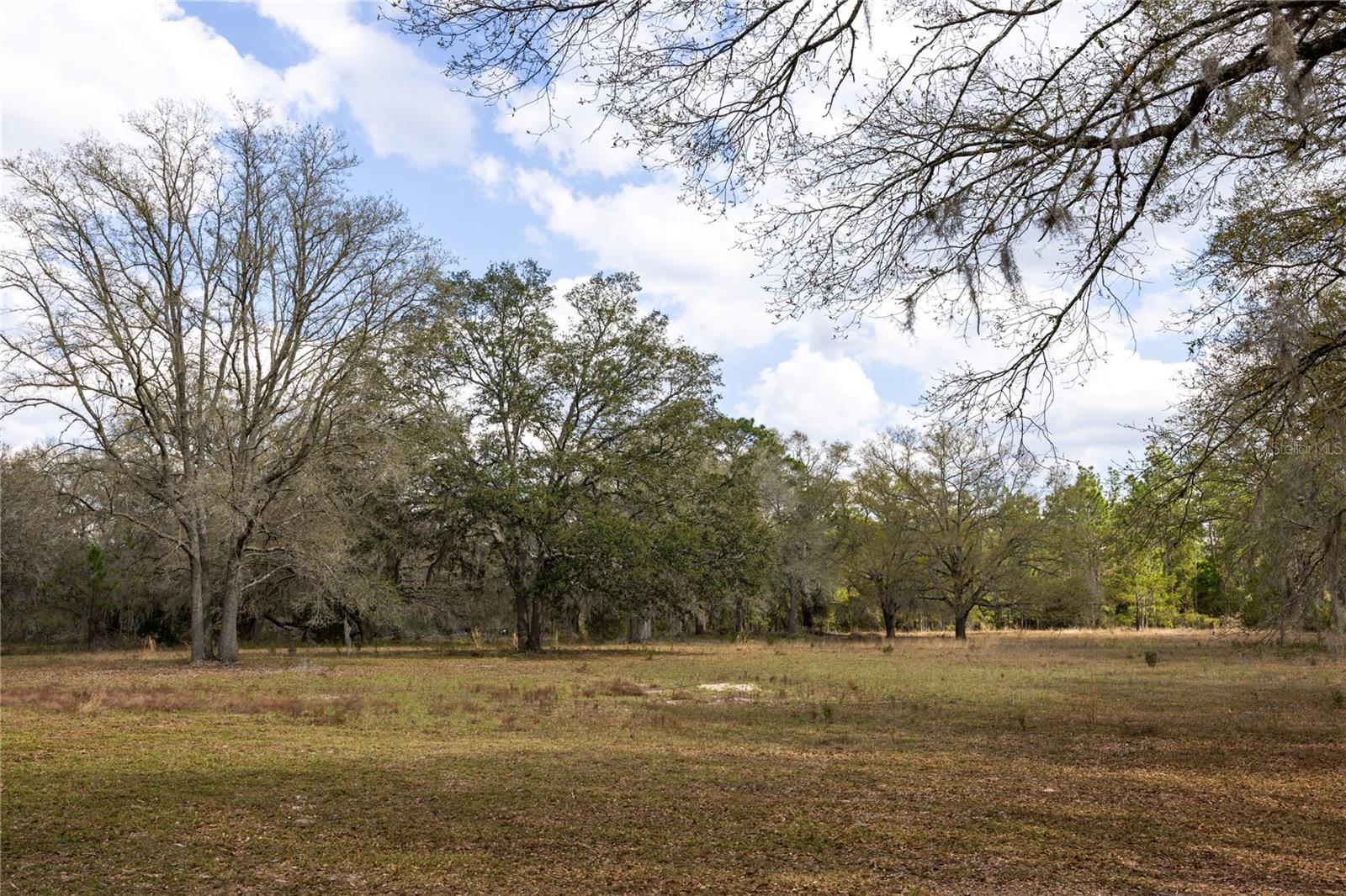 3670 NW 20TH AVE, BELL, FL, 32619
