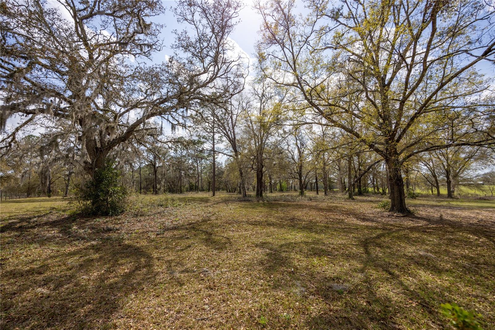 3670 NW 20TH AVE, BELL, FL, 32619