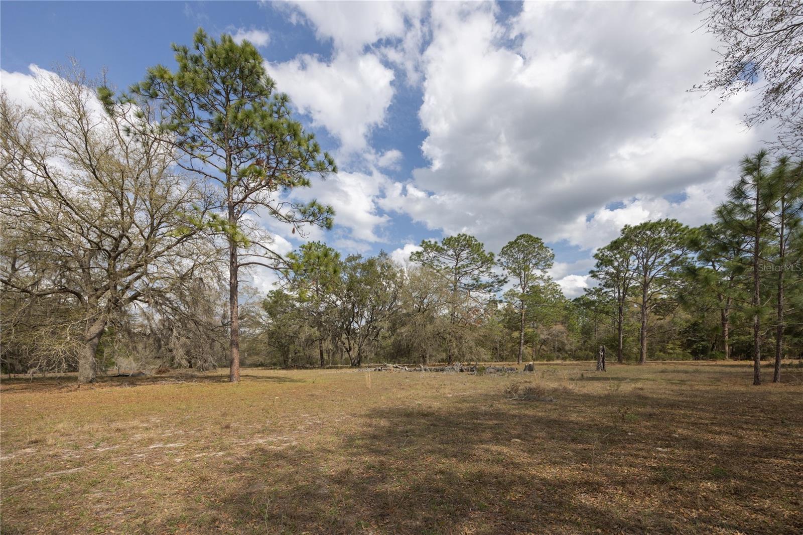 3670 NW 20TH AVE, BELL, FL, 32619