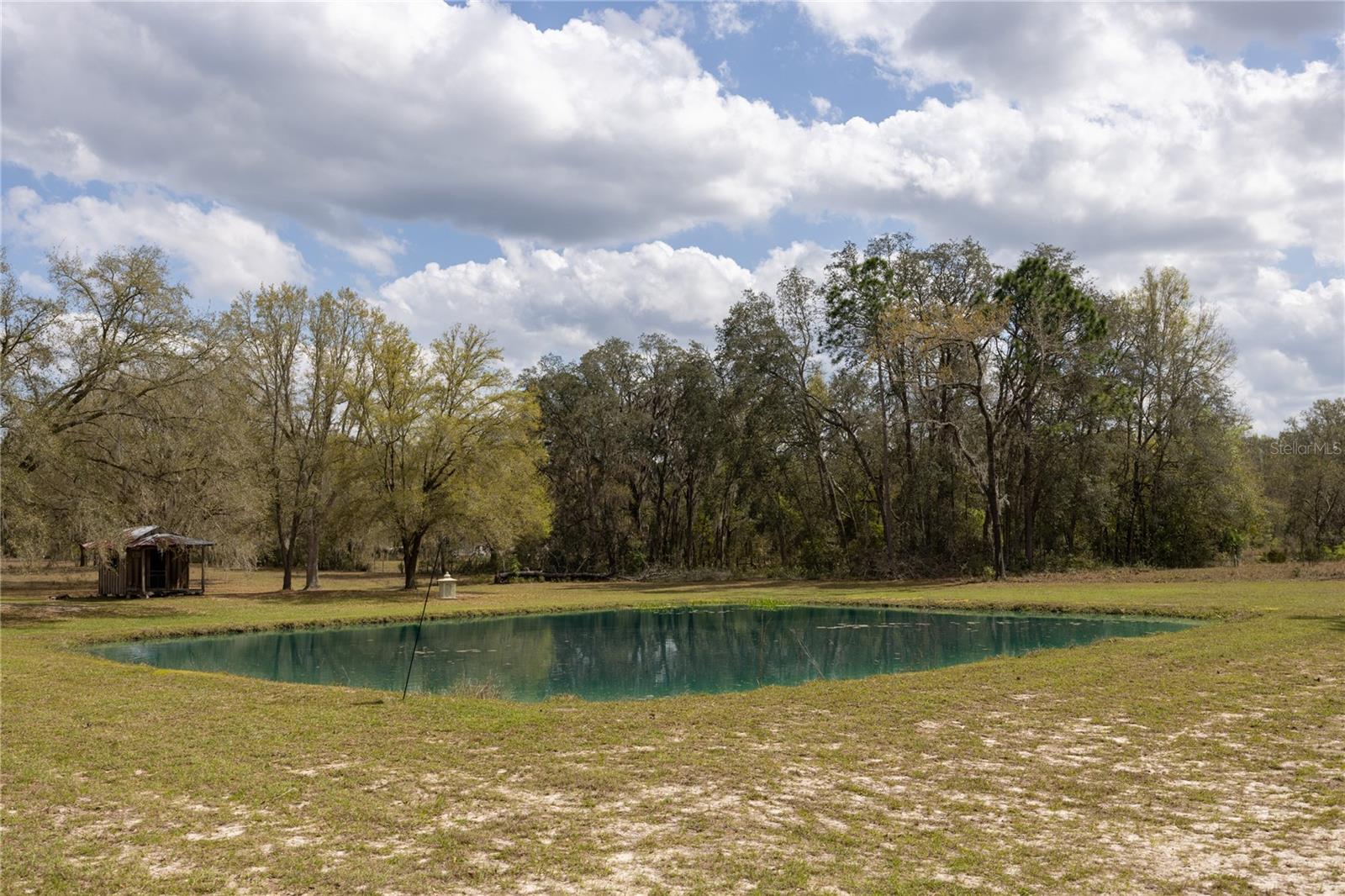 3670 NW 20TH AVE, BELL, FL, 32619