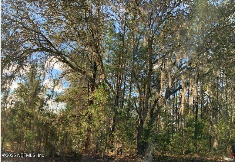103 FLOWER DR, INTERLACHEN, FL, 32148