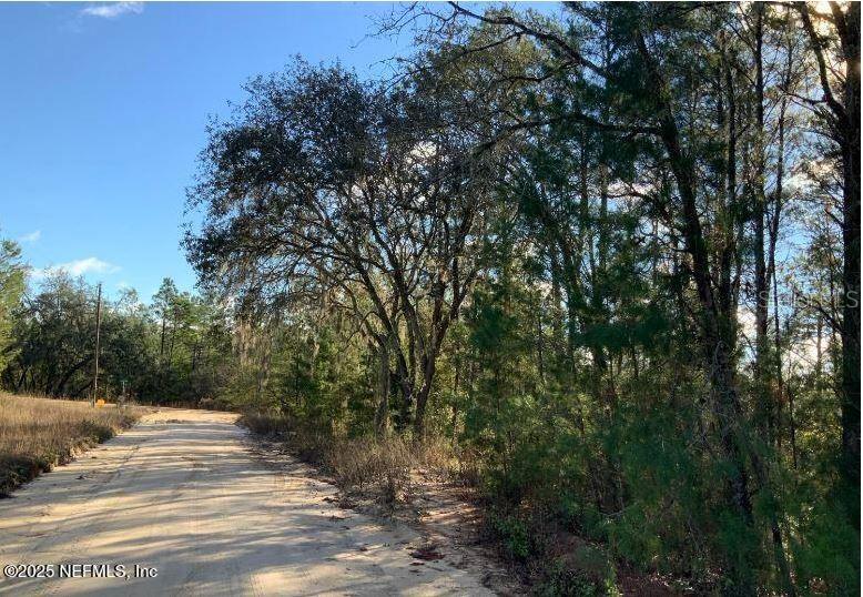 103 FLOWER DR, INTERLACHEN, FL, 32148