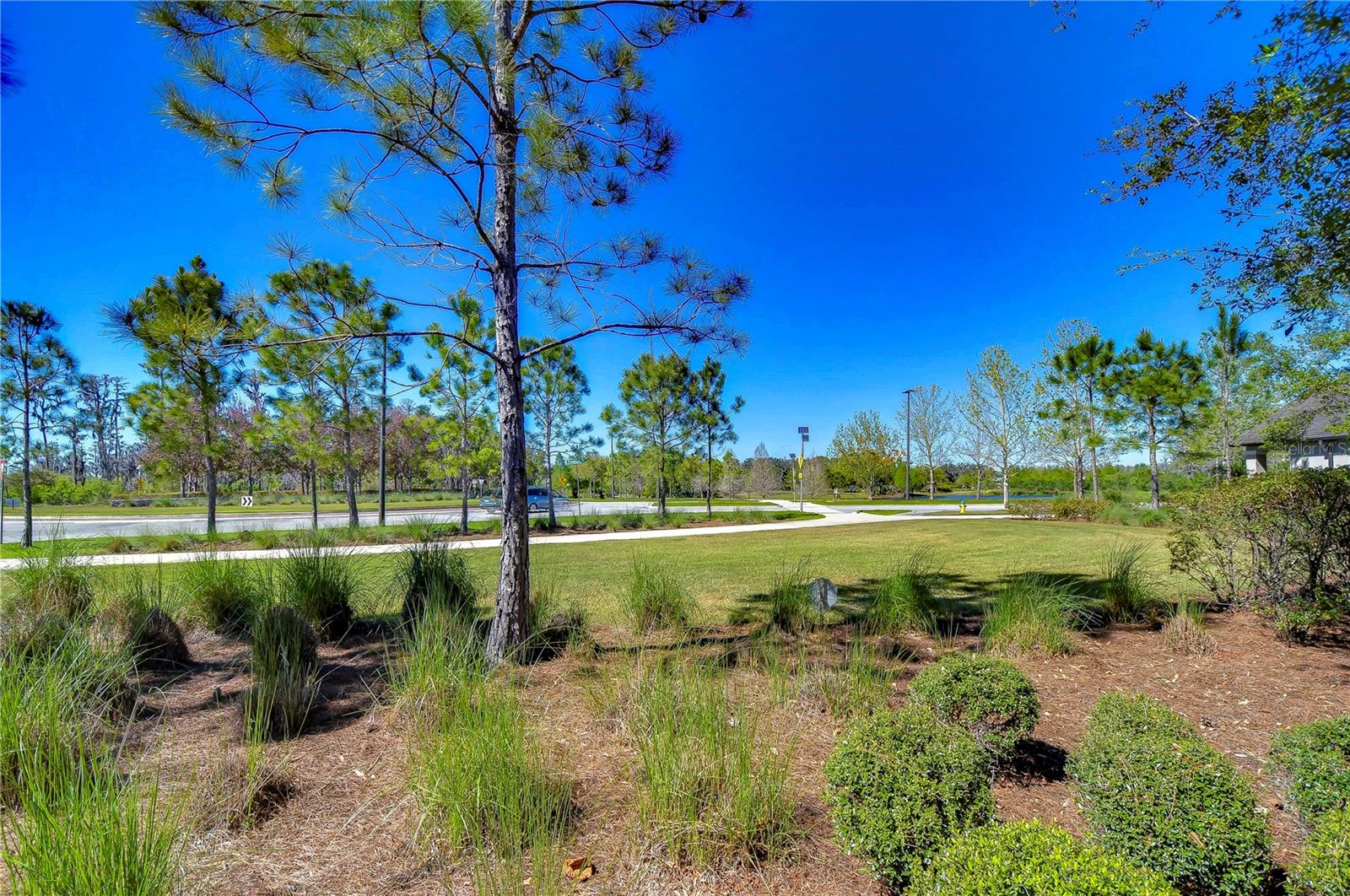 3200 LONG SPUR, ODESSA, FL, 33556
