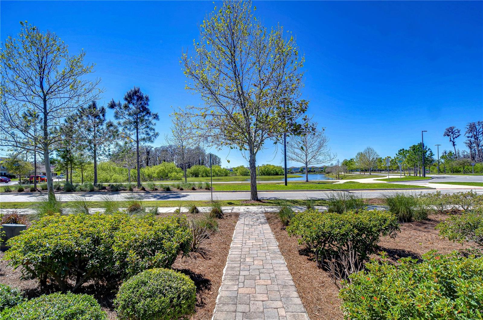 3200 LONG SPUR, ODESSA, FL, 33556