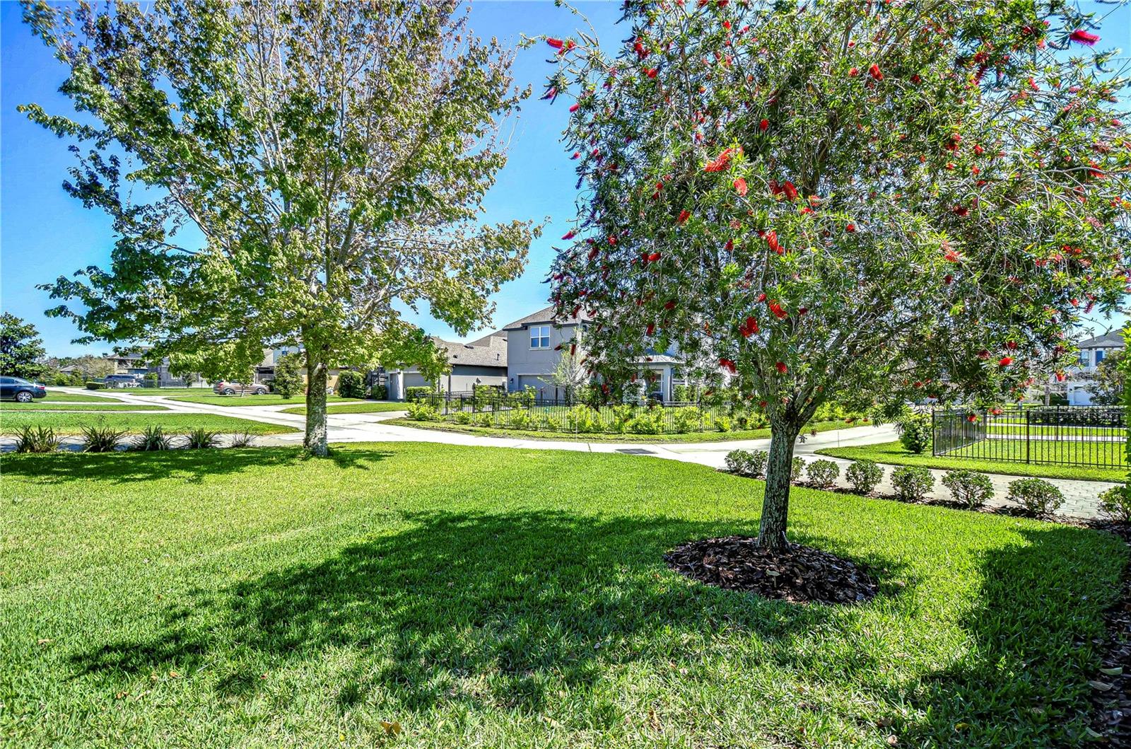 3200 LONG SPUR, ODESSA, FL, 33556