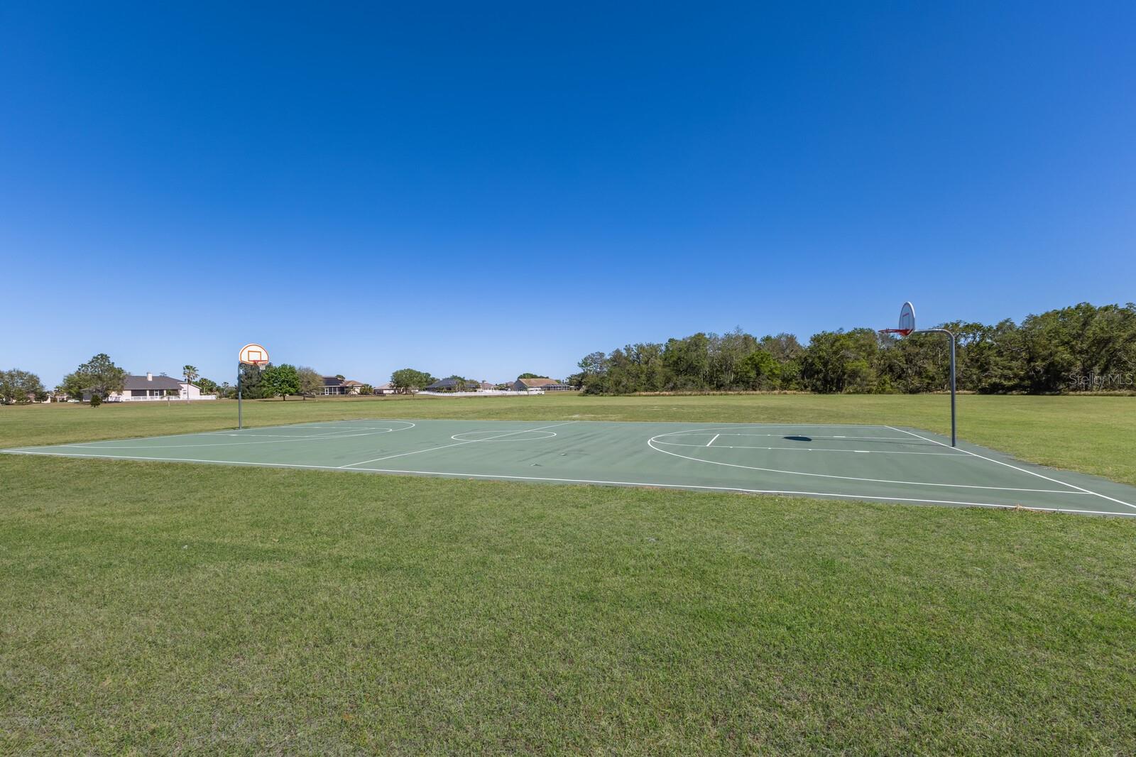4606 LAKE FOX PL, PARRISH, FL, 34219