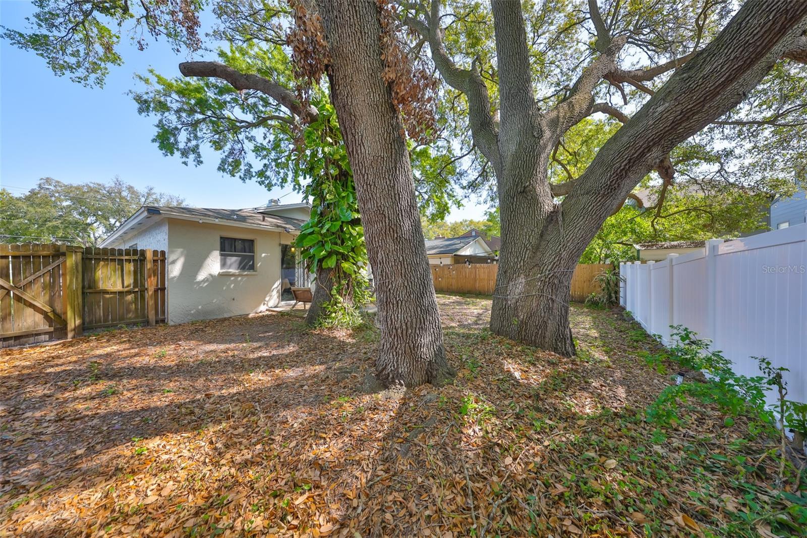 4703 SERENA DR, TAMPA, FL, 33617