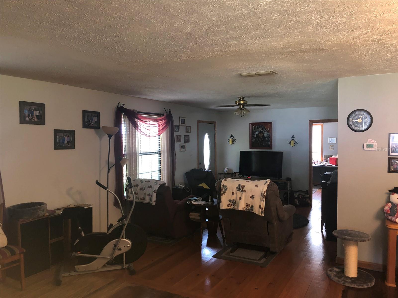 136 S COMMERCIAL ST, COLEMAN, FL, 33521