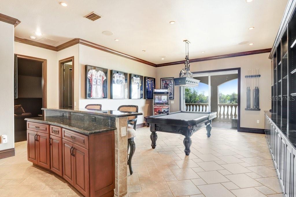 17111 JOURNEYS END DR, ODESSA, FL, 33556