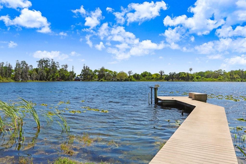 17111 JOURNEYS END DR, ODESSA, FL, 33556