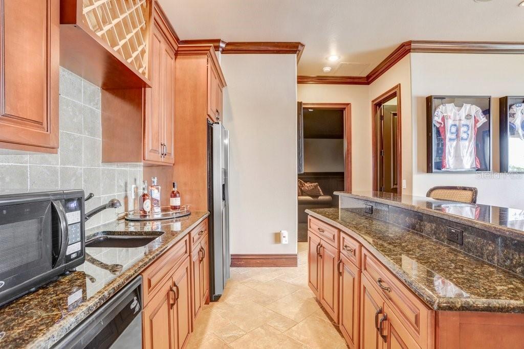 17111 JOURNEYS END DR, ODESSA, FL, 33556