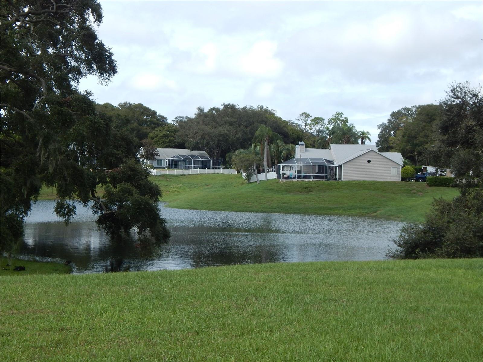 818 EDGEHILL DR, PALM HARBOR, FL, 34684