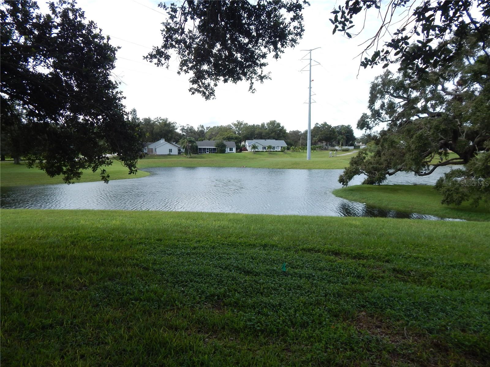818 EDGEHILL DR, PALM HARBOR, FL, 34684