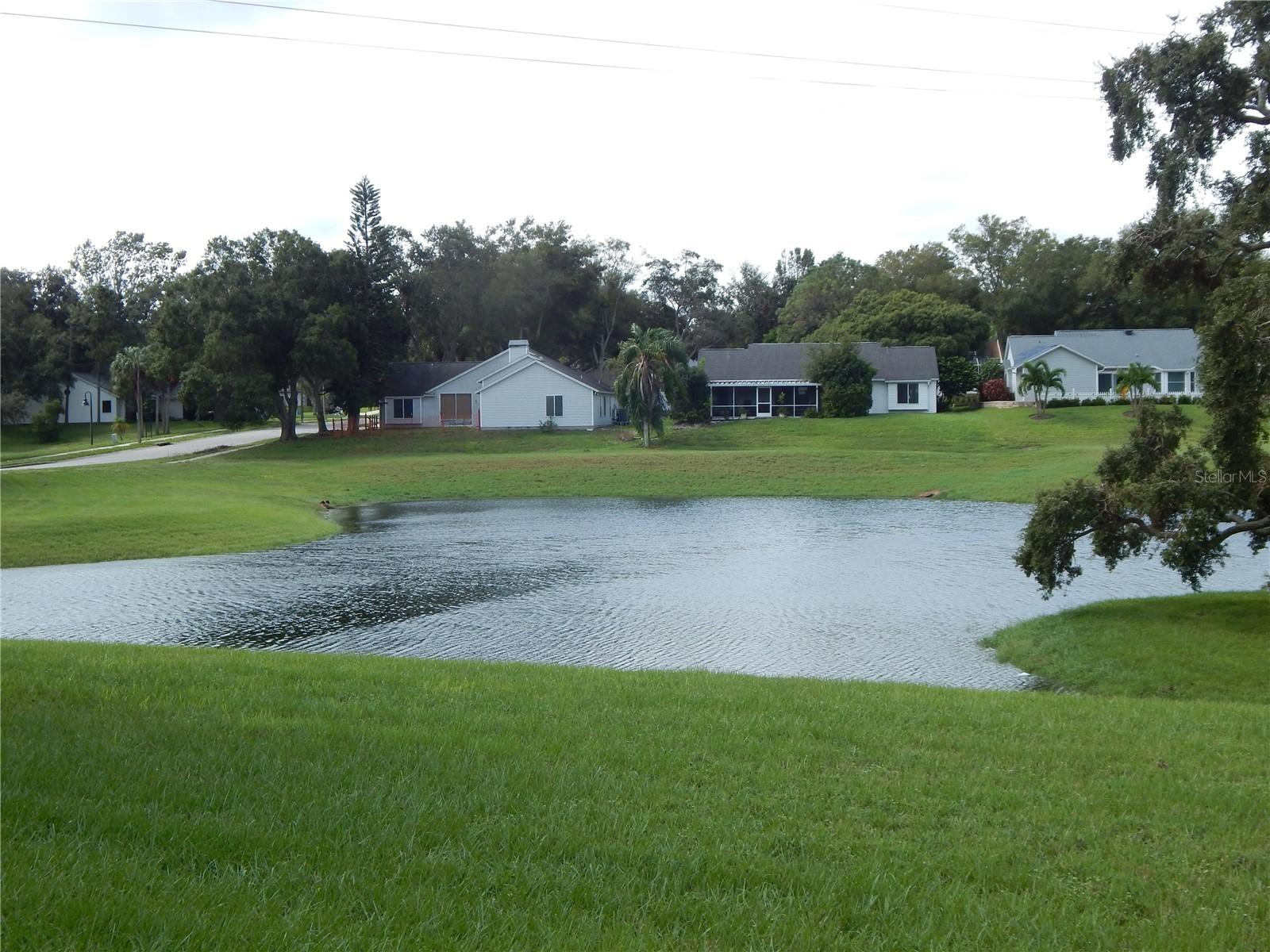 818 EDGEHILL DR, PALM HARBOR, FL, 34684