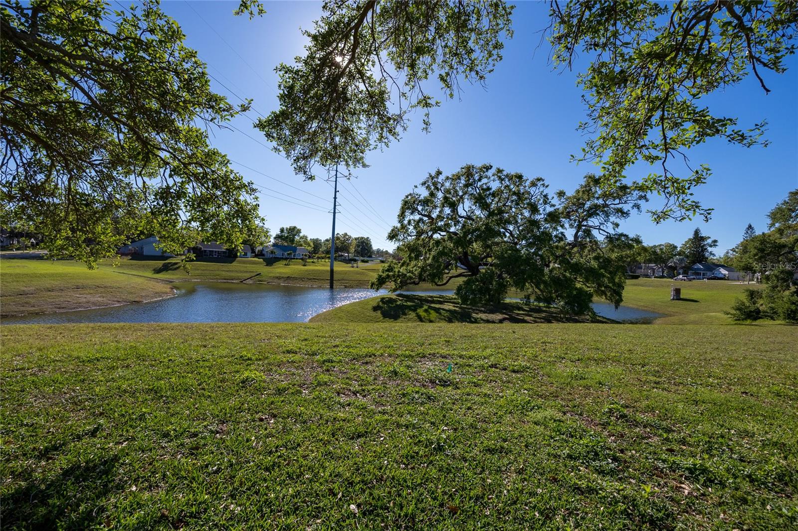 818 EDGEHILL DR, PALM HARBOR, FL, 34684