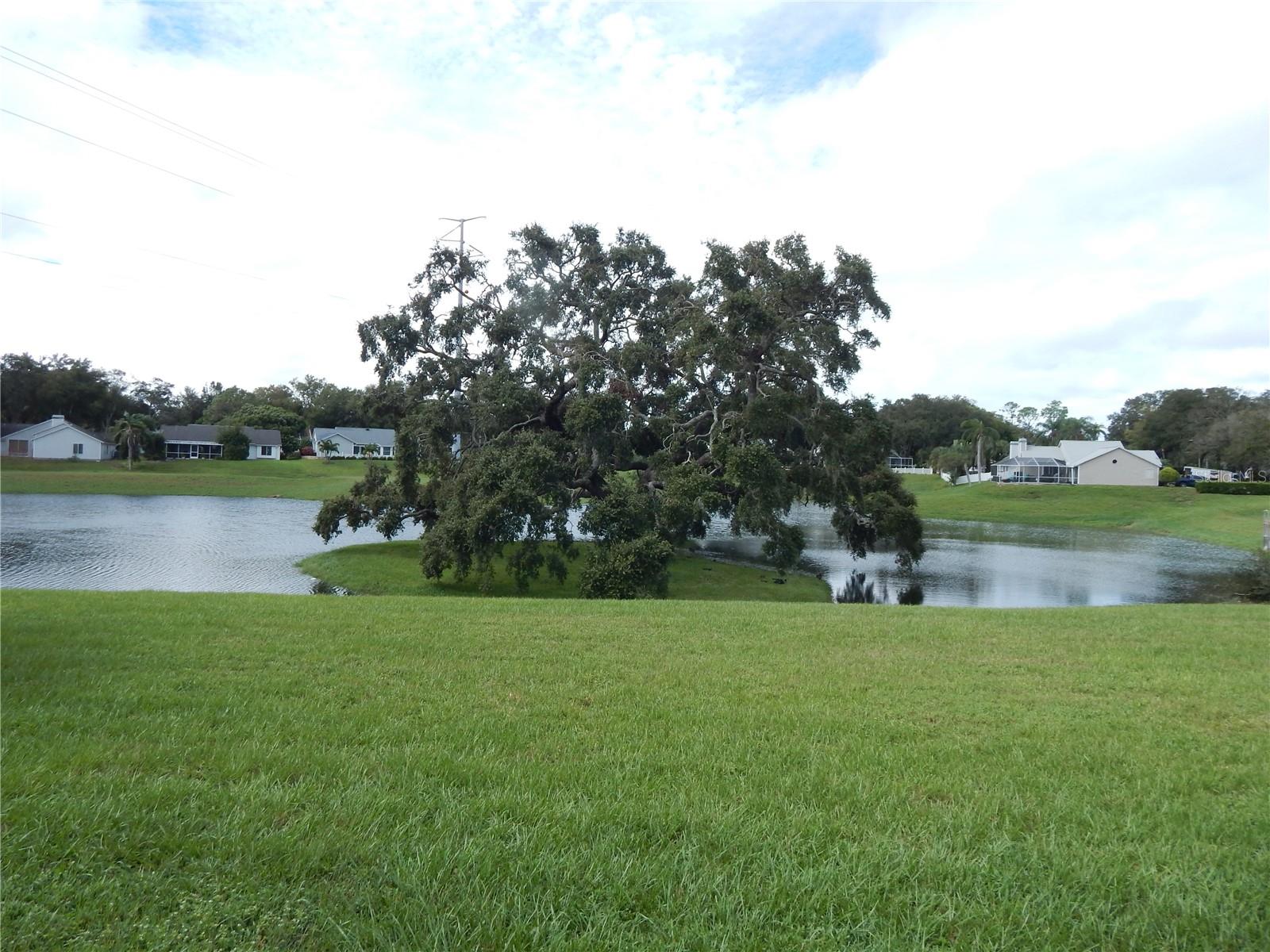 818 EDGEHILL DR, PALM HARBOR, FL, 34684