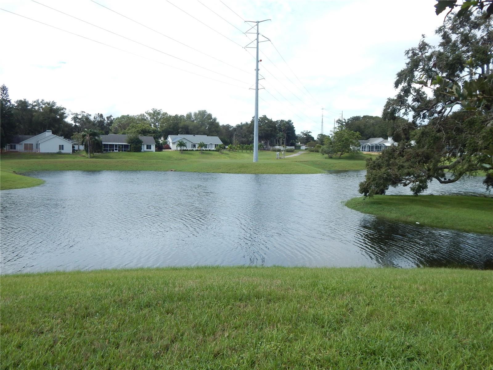 818 EDGEHILL DR, PALM HARBOR, FL, 34684