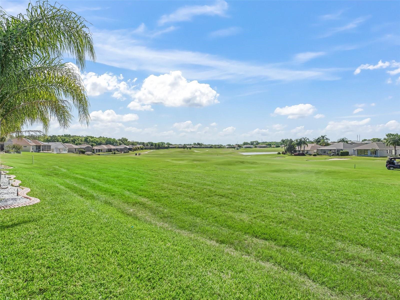 12136 SE 176TH LOOP, SUMMERFIELD, FL, 34491